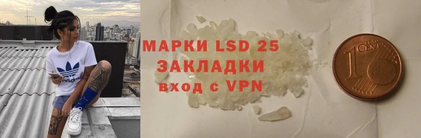 гидра Алексеевка